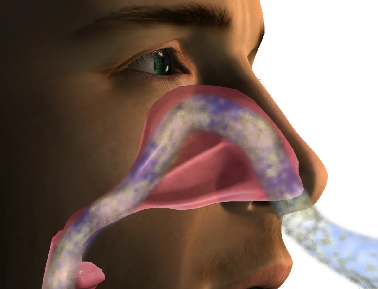 Nasal Blockage → Mouth Breathing → Recurring Throat Infections & Dry Lips
