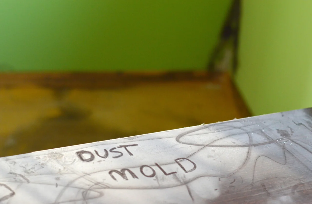 Dust and Mold